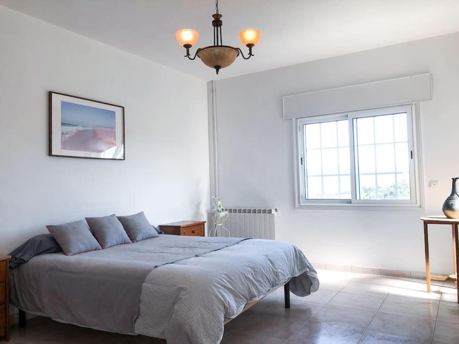 Maison Familiale De Caractere Avec Piscine Padronelo Eksteriør billede
