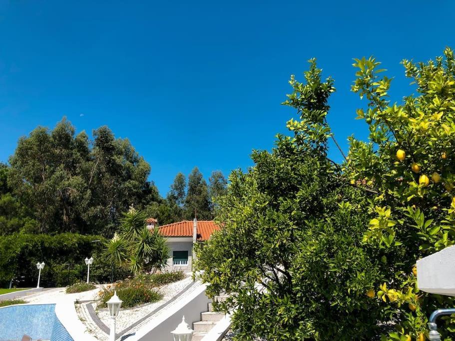 Maison Familiale De Caractere Avec Piscine Padronelo Eksteriør billede